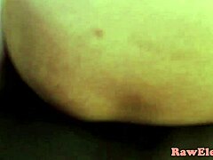 बड़े स्तन वाली परिष्कृत कौगर को बड़े काले लंड से एनल किया जाता है।